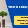 What is Equity Share Meaning Features Benefit and Types