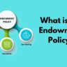 What is the endowment policy