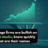 Brokerage firms are bullish on these 6 stocks, know quickly what are their names