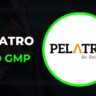 Pelatro IPO GMP